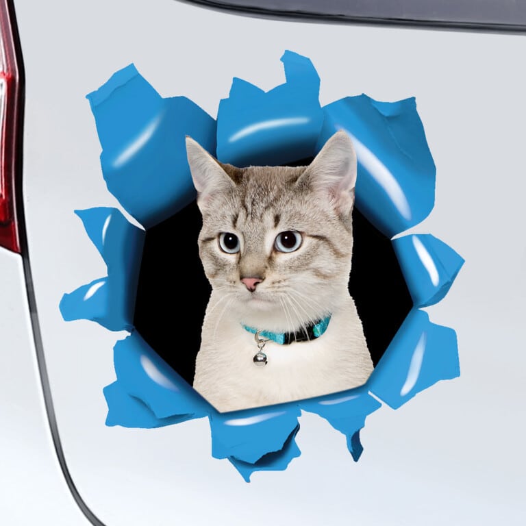 Egyedi autós matrica - Kisállat