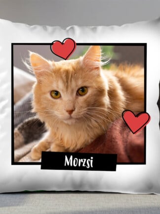 Személyre szabott párna – A kedvenc kisállatom