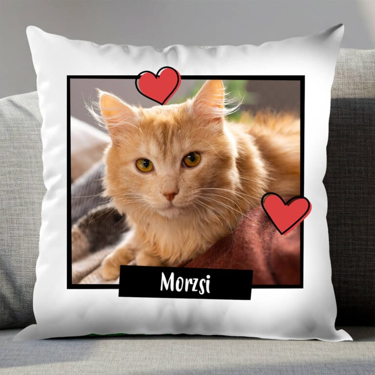 Személyre szabott párna – A kedvenc kisállatom