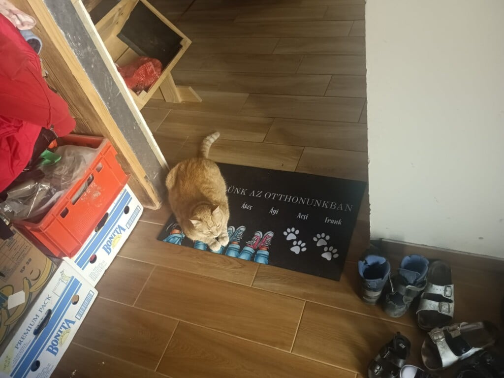 Image #1 from Gyöngyi Mezei