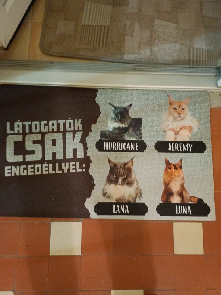 Image #1 from István V.